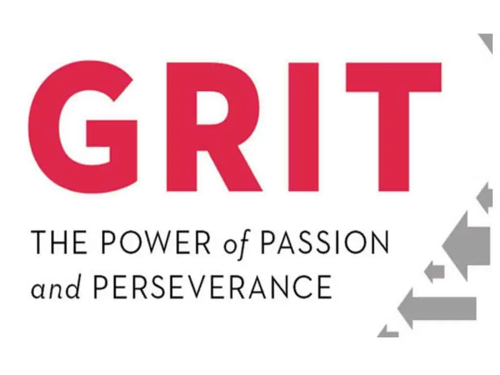 Grit and perseverance